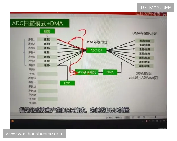 ViperADC如何凭借精准操作与卓越意识成为顶级ADC选手的成功秘诀 ViperADC如何凭借精准操作与卓越意识成为顶级ADC选手的成功秘诀