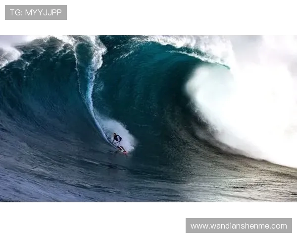 跳水运动的技艺与挑战：探索从入水到飞跃的极限之美