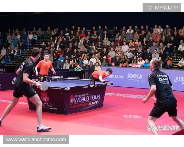 乒乓球运动的魅力与发展趋势探讨：从技术演进到全球化推广的多维度分析