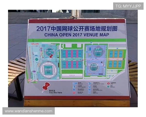 网球竞技与心理博弈双重探秘新时代运动员成长之路