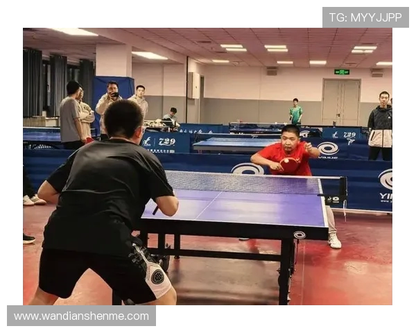 乒乓球激荡青春梦想展现拼搏精神引领全民健康新风尚 乒乓球激荡青春梦想展现拼搏精神引领全民健康新风尚